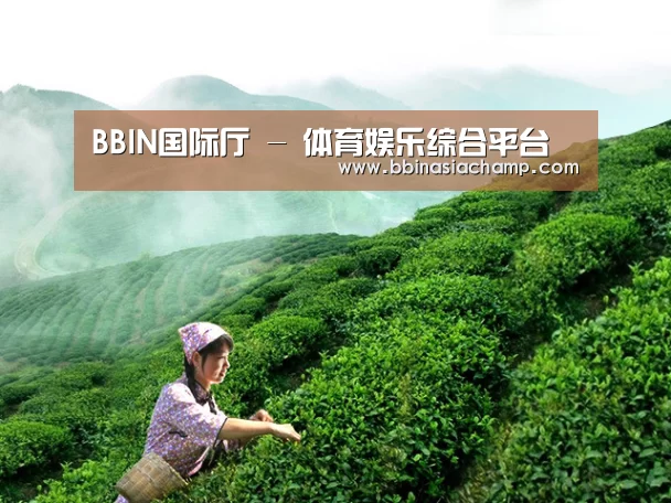 BBIN国际厅 - 体育娱乐综合平台